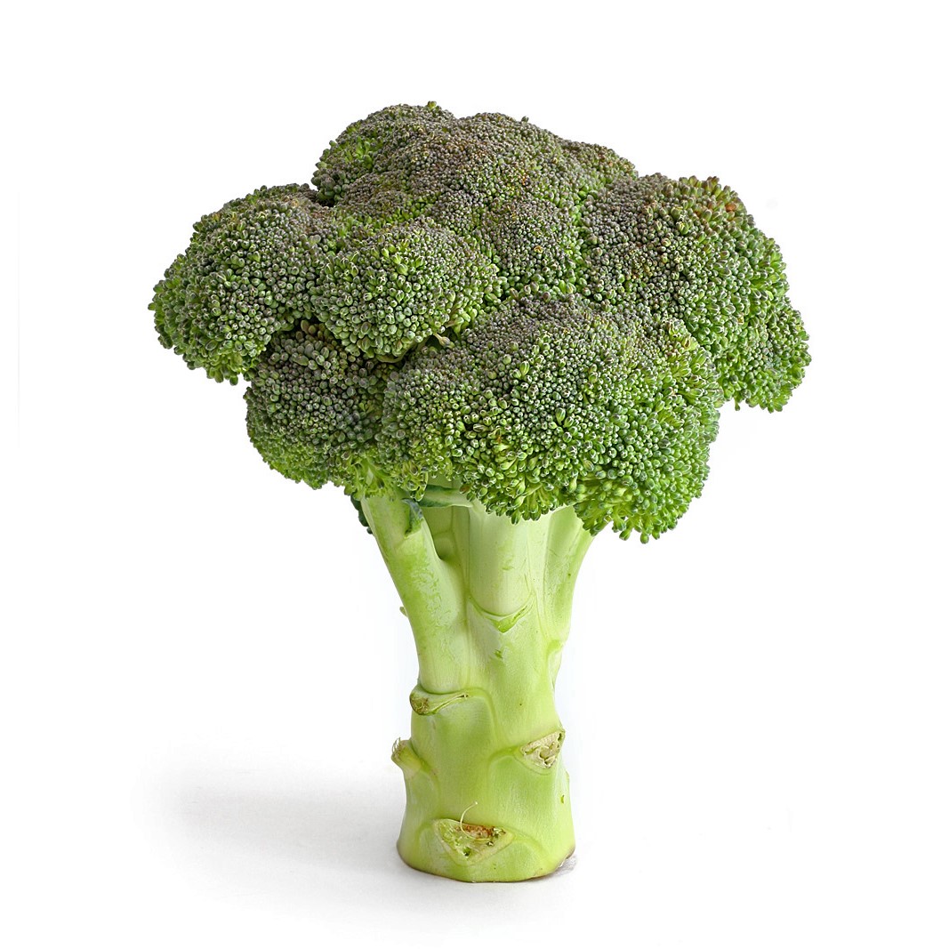 Broccoli 3D Model